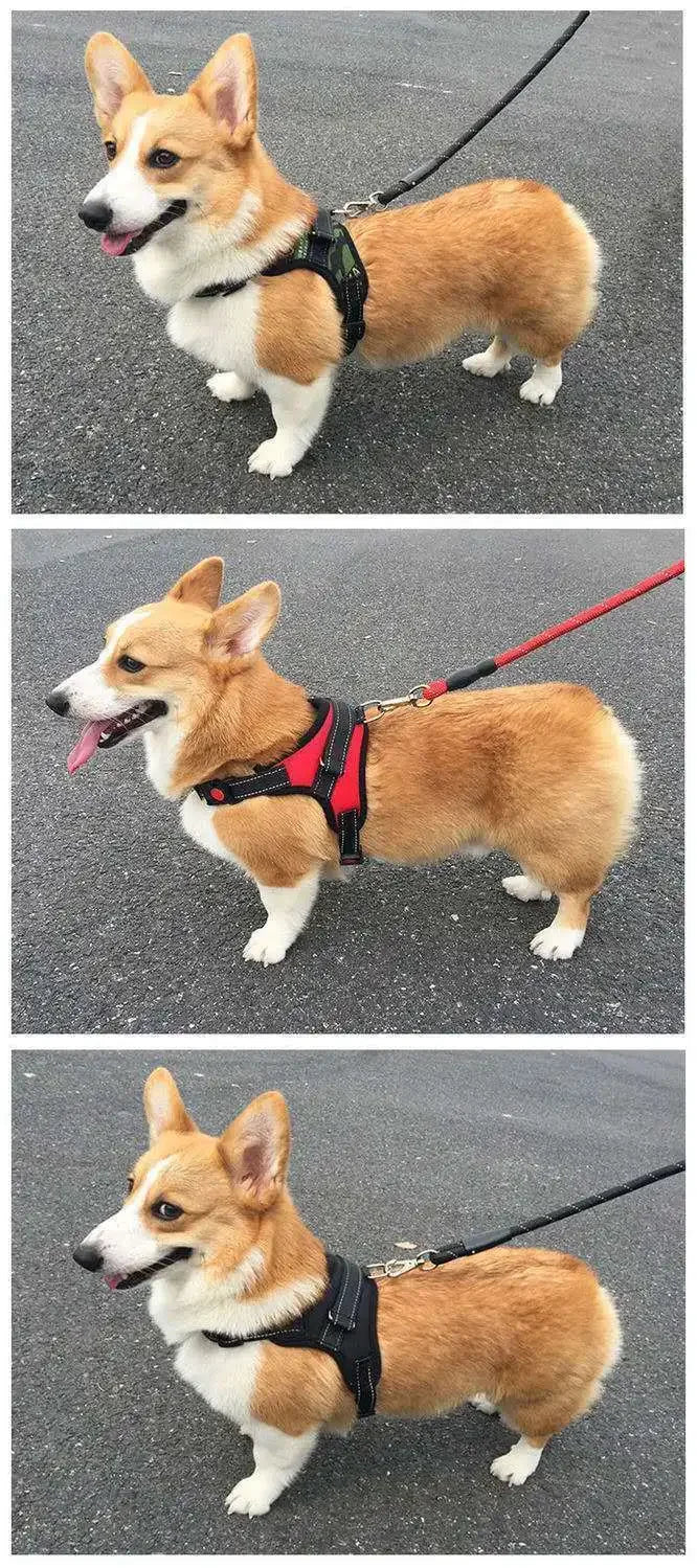 Arnés para perros, chaleco de liberación rápida, arnés para cachorros, material de nailon, arnés transpirable para mascotas, arnés ajustable para exteriores para mascotas.